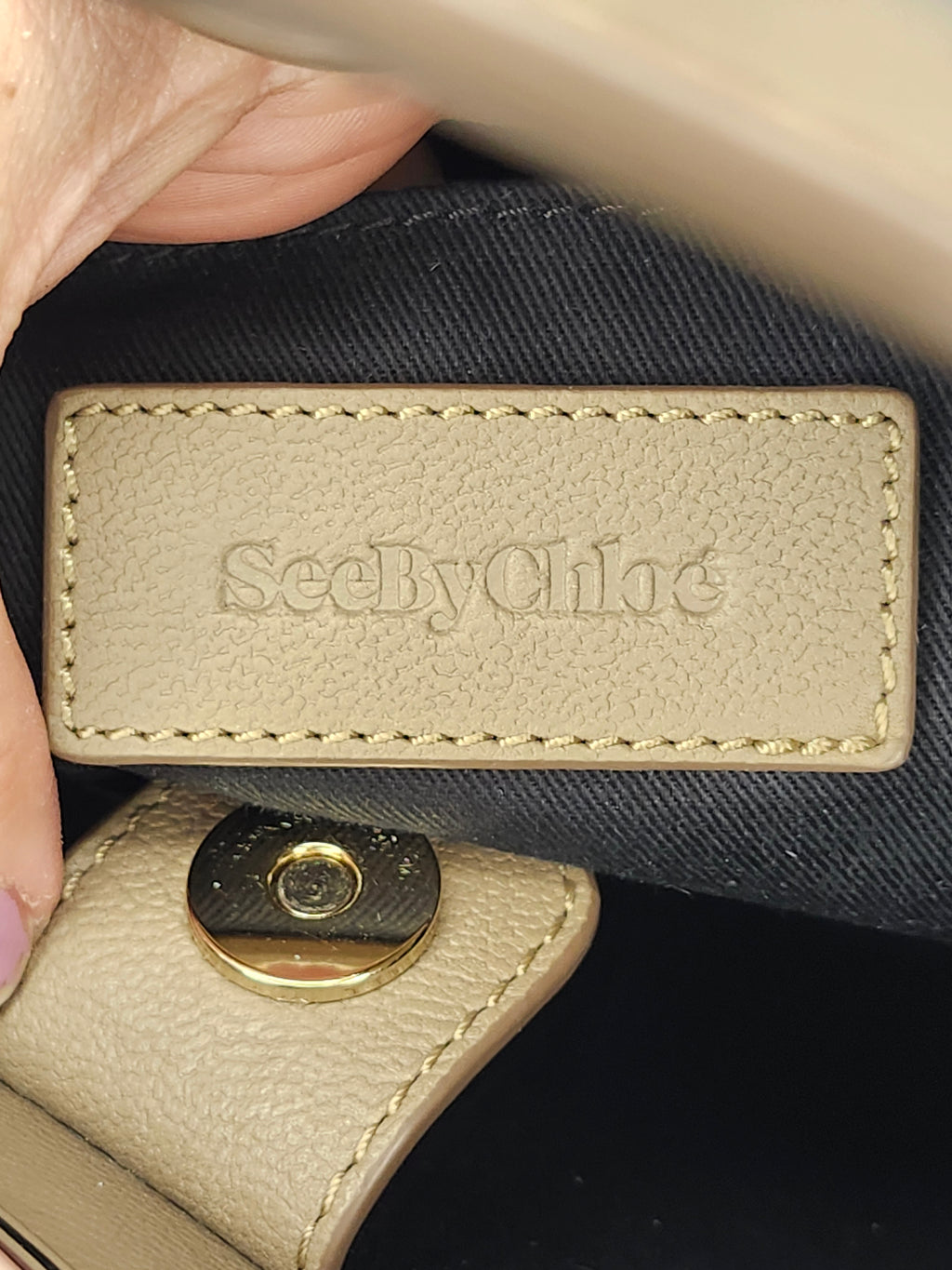 See By Chloe Mara Tan Suede Women's Bag